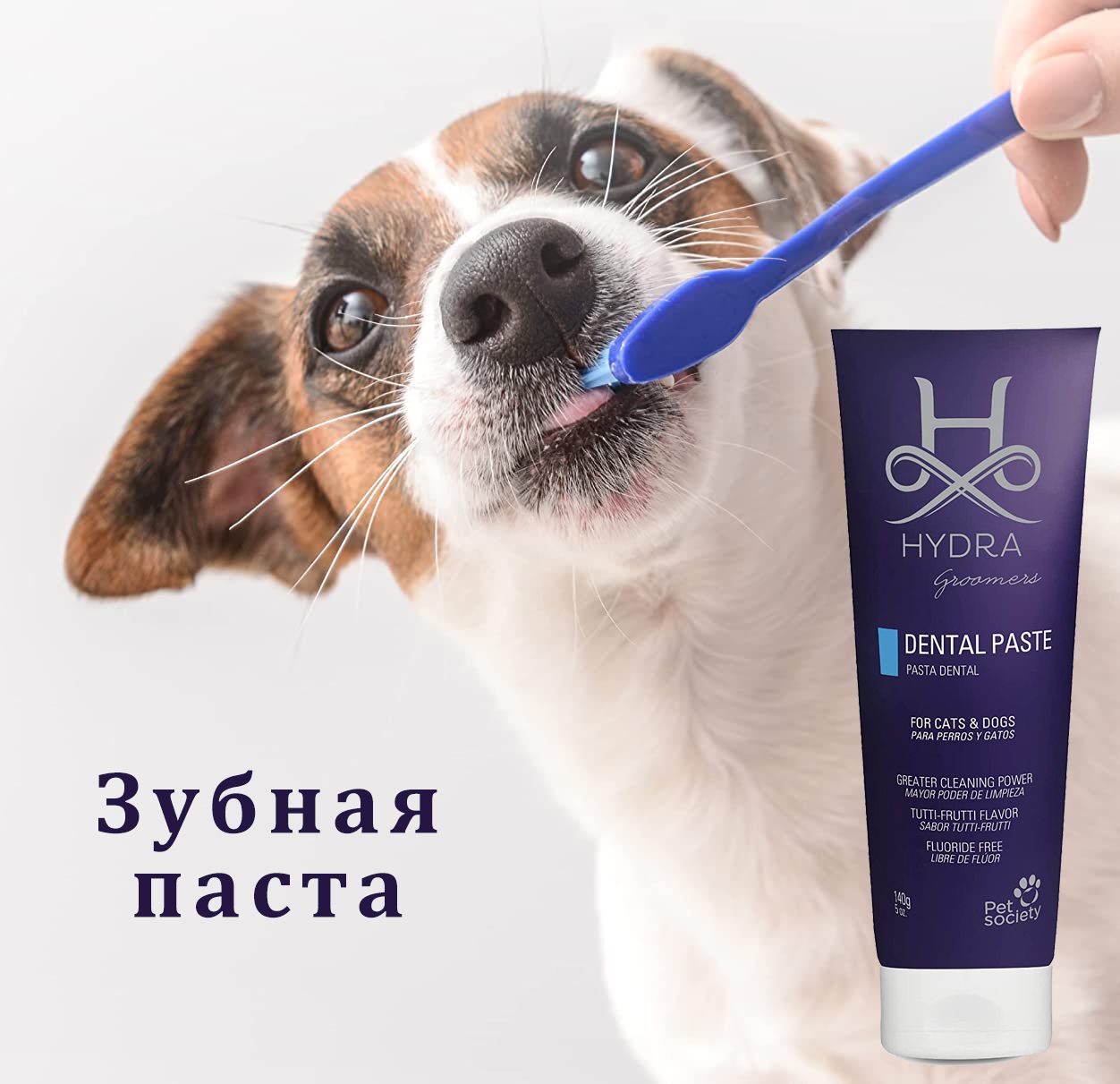Гусь гидра паста.