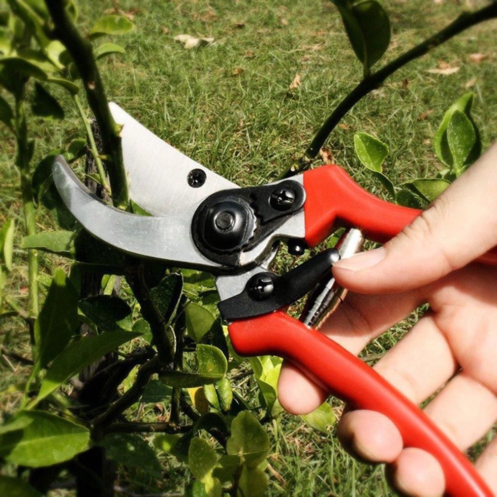 Секатор pruning Shears