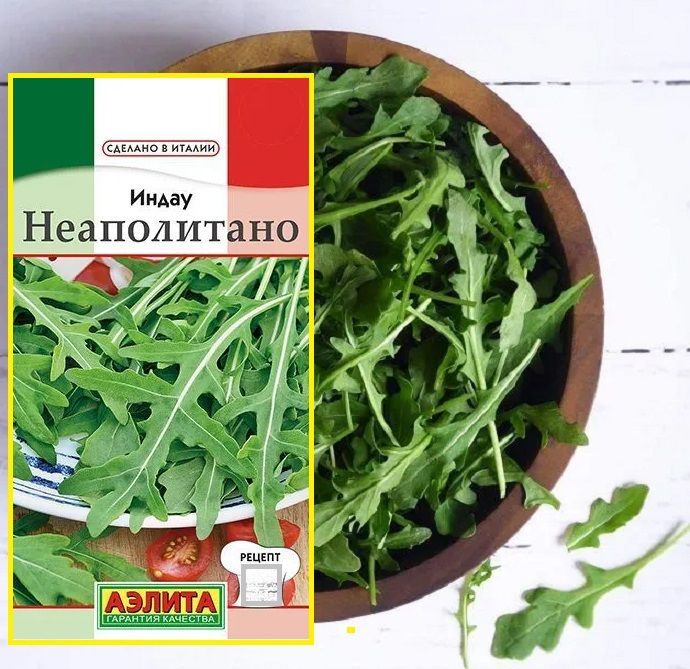 Рукола, Индау Агрофирма Аэлита Салат - купить по выгодным ценам в интернет-магаз