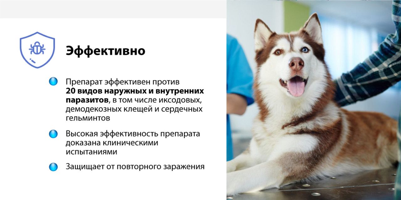 Капли от блох клещей гельминтов Inspector Quadro для кошек от 4 до 8 к(图2)