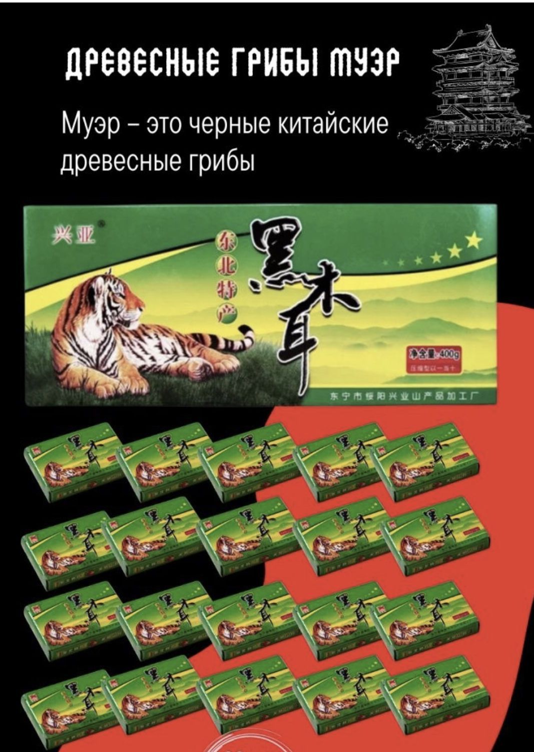 Сухие Древесные Грибы Купить