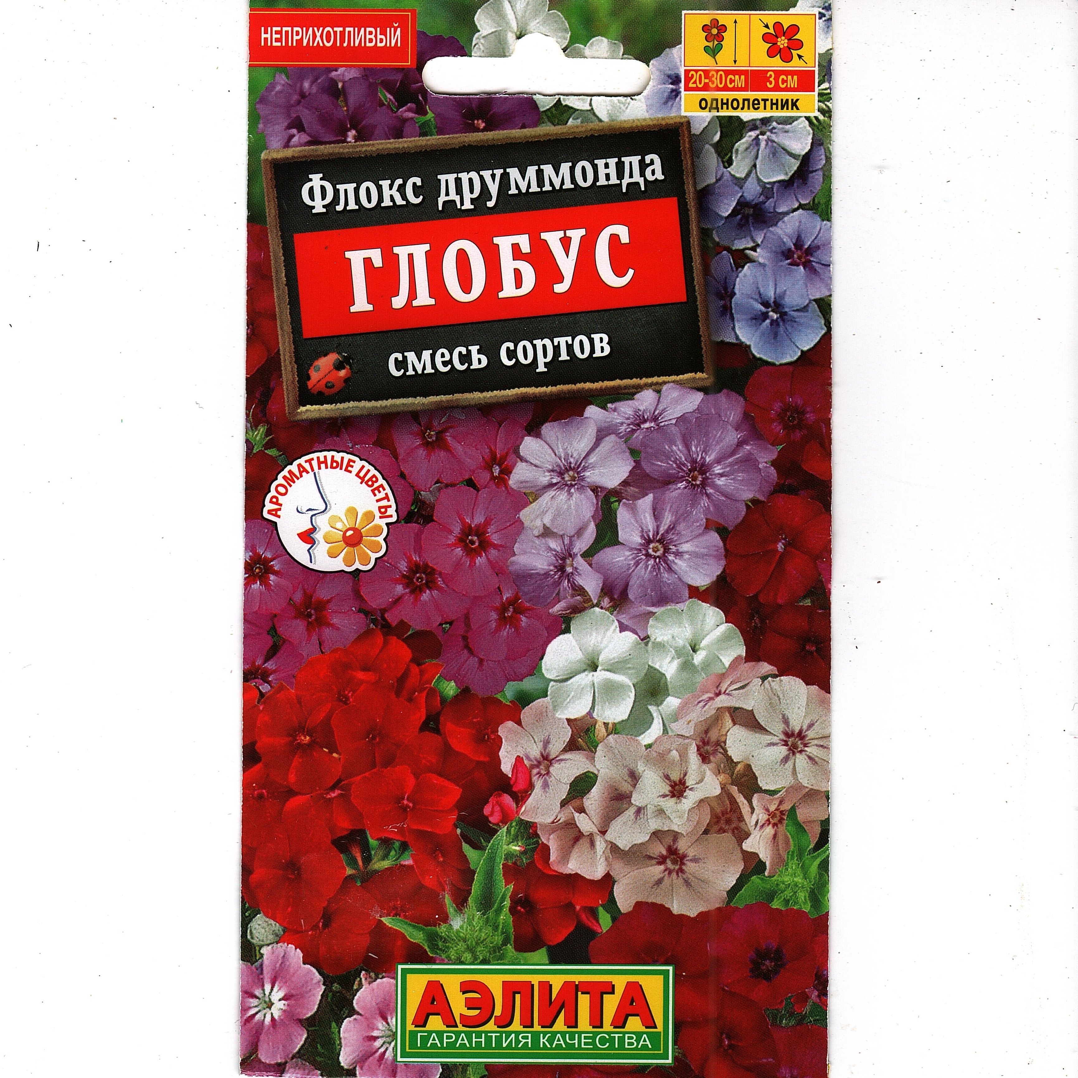 Флоксы Однолетние Купить Семена