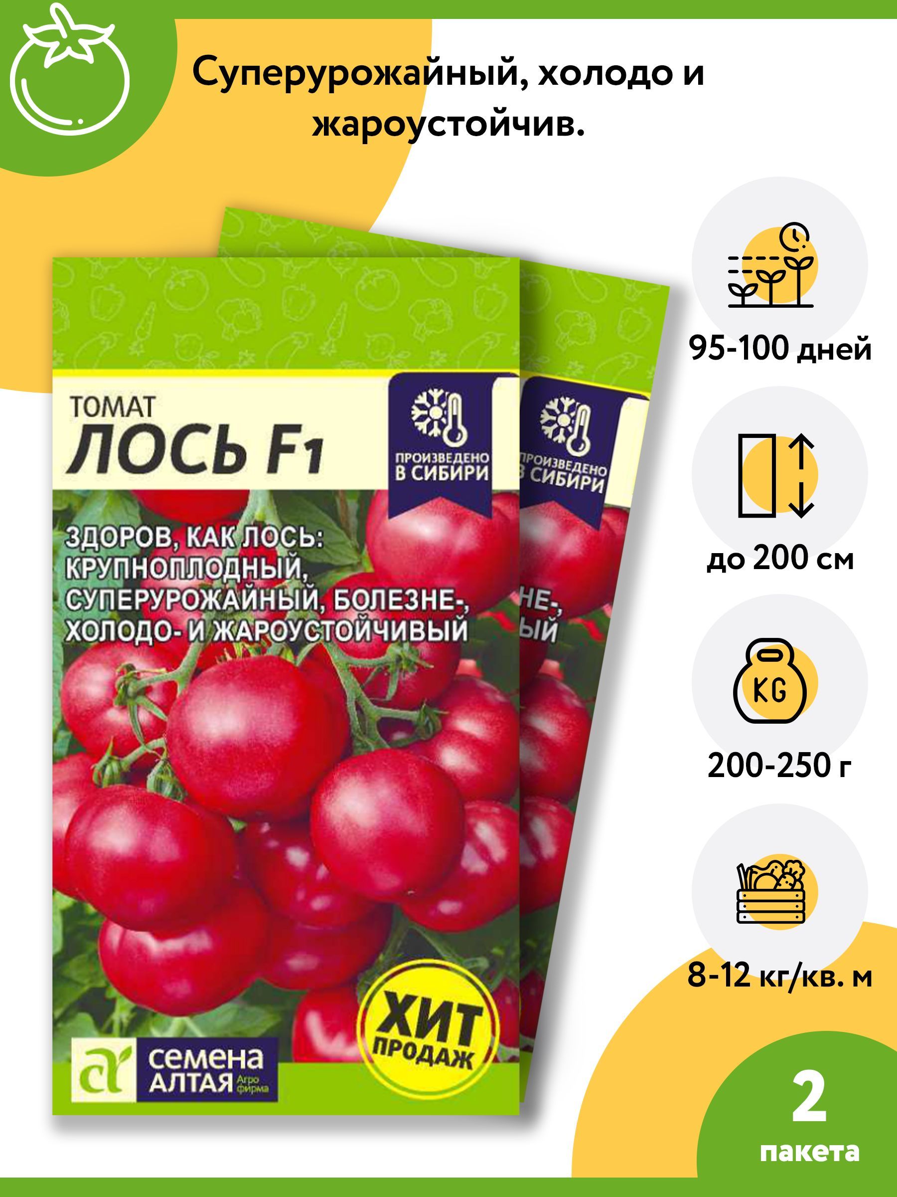 Томаты Семена Алтая томаты, семена томатов, семена томатов на рассаду/1 -  купить по выгодным ценам в интернет-магазине OZON (1082622225)