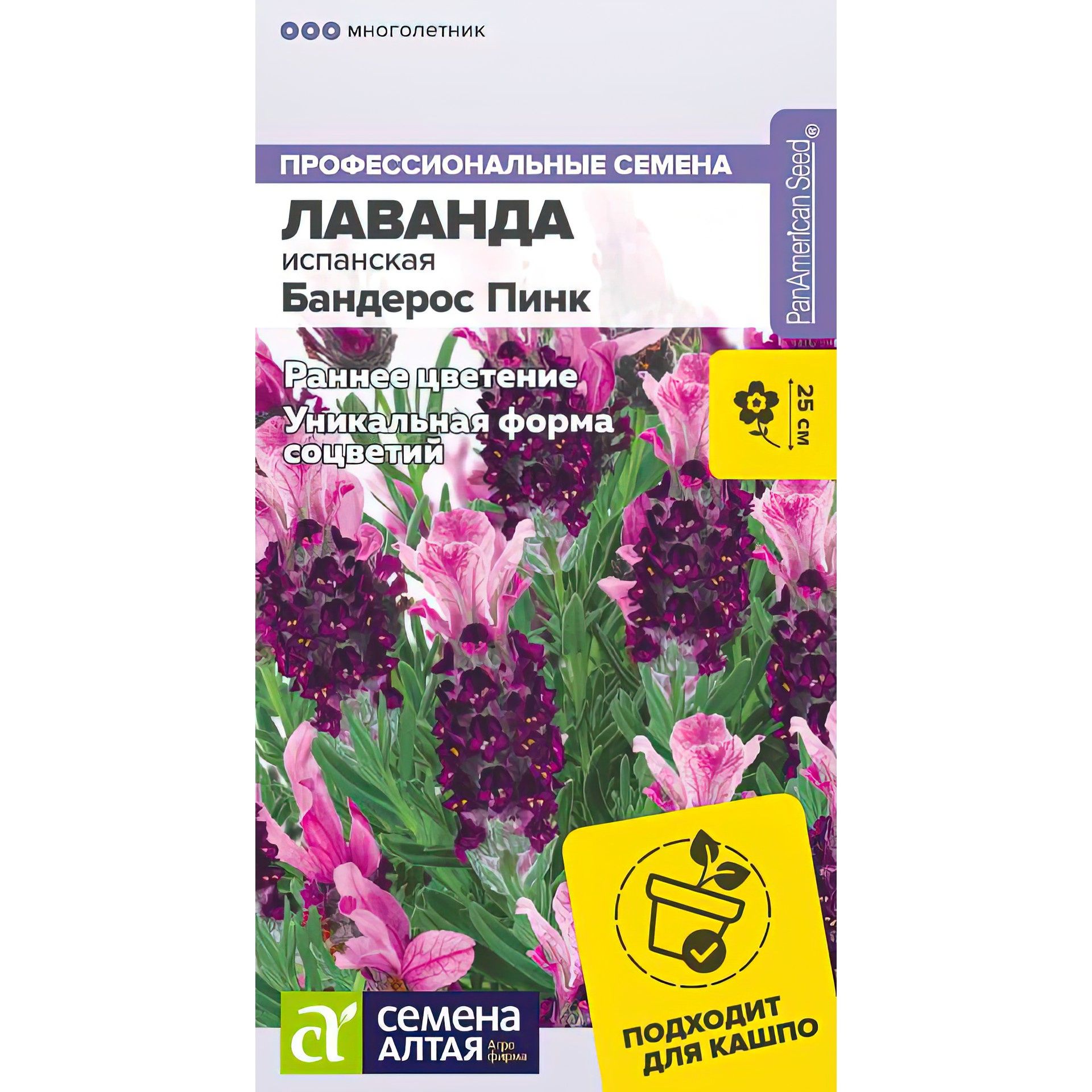 Лаванда бандерос Парпл испанская 5шт. Многолетник (сем алт)