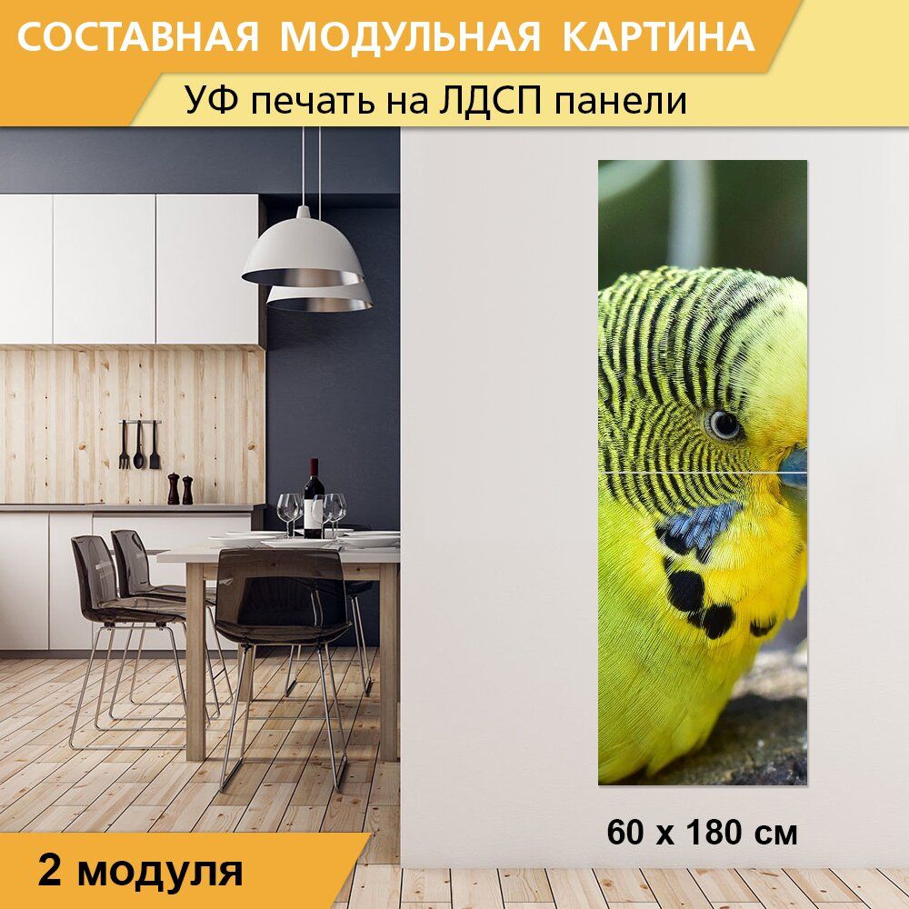 Зеленый попугай ш энтузиастов 1 балашиха фото