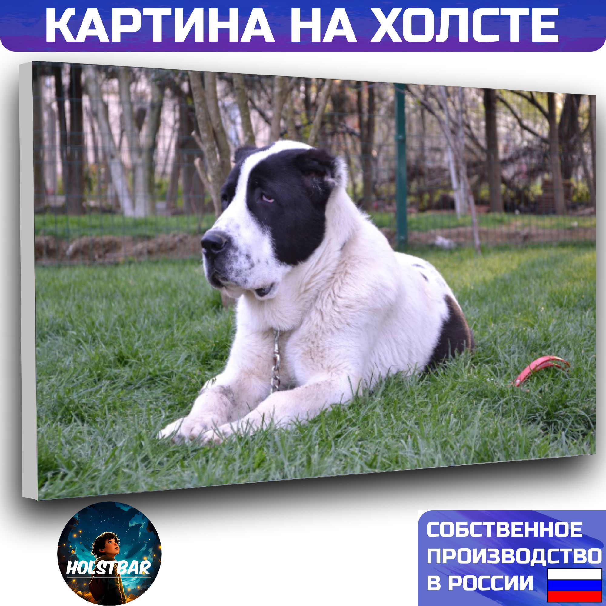 Картина на холсте Алабай собака 30х40 см HOLSTBAR - купить по низкой цене в интернет-магазине OZON (1124389780)