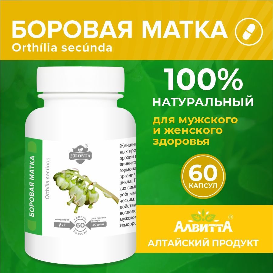 Боровая матка Forte Vita экстракт на полный курс приема для мужского и женского здоровья 60 капсул