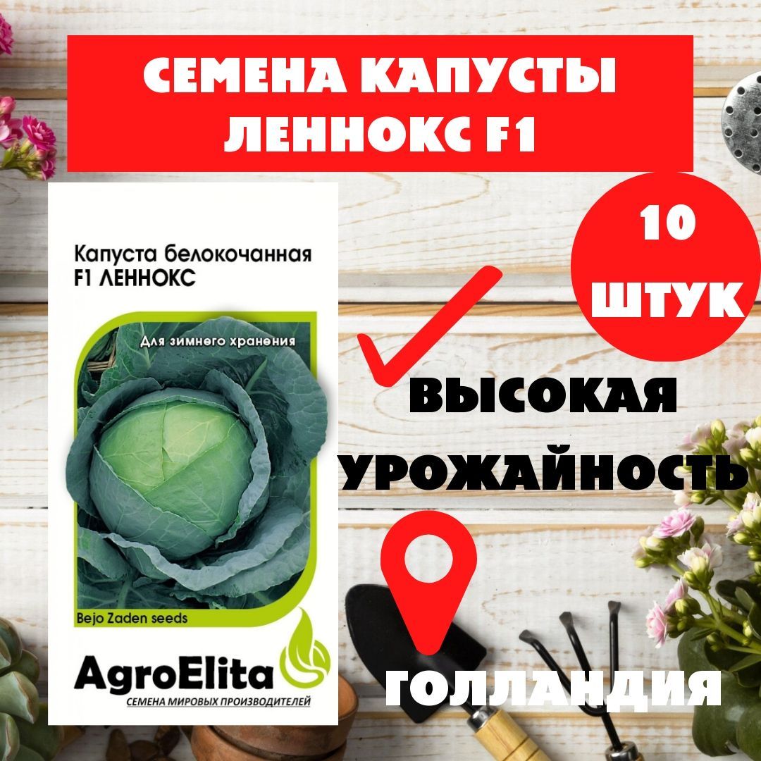 Семена Капусты Новатор Купить