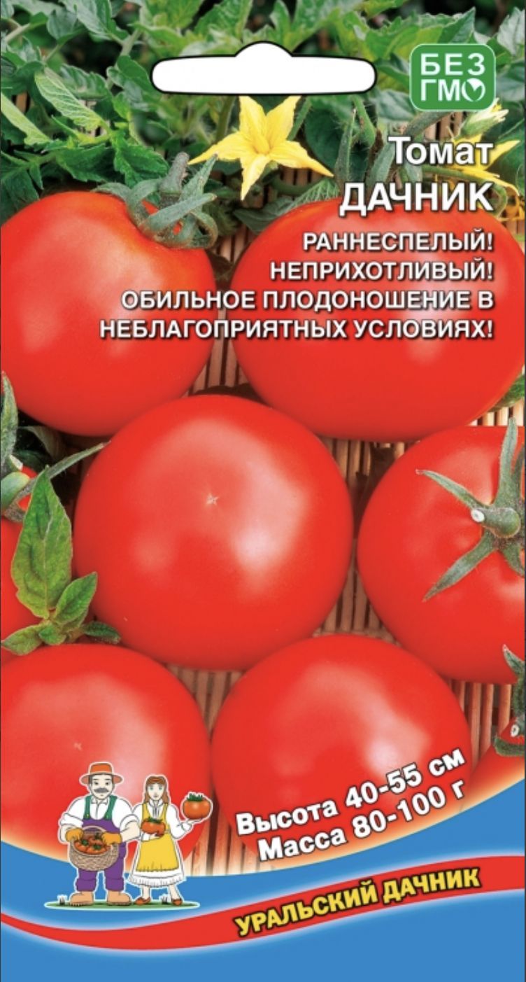 Помидор дачник описание сорта отзывы. Томат Дачник (20шт). Семена томат Дачник. Сорт помидор Дачник. Томат Дачник огородное изобилие.