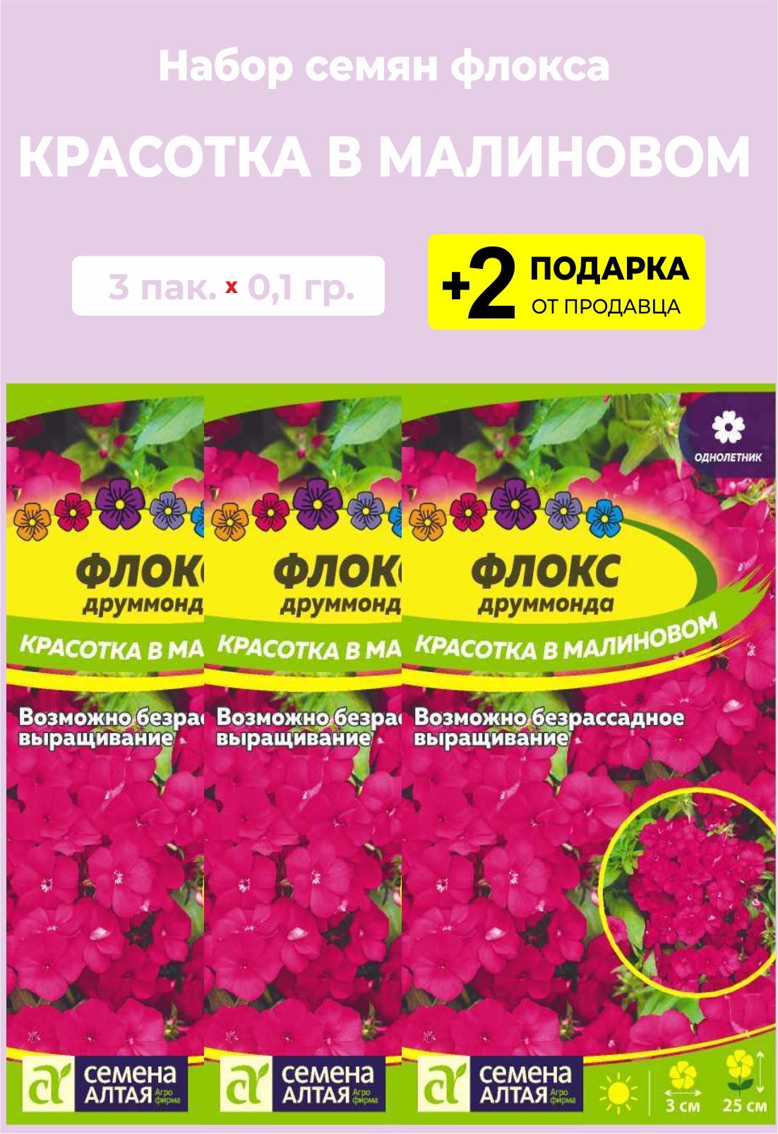 Флоксы Однолетние Купить Семена