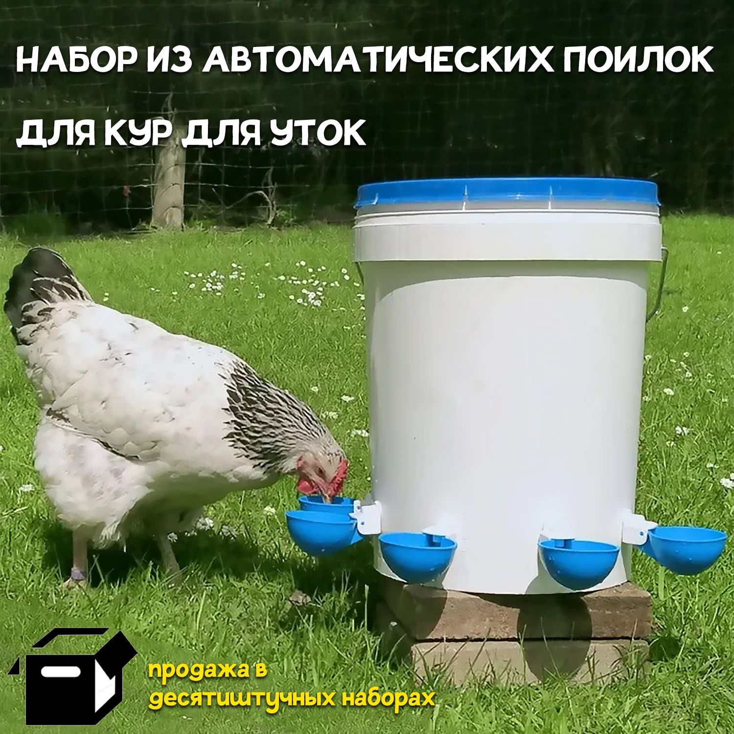 Поилки, кормушки для домашней птицы в Ташкенте