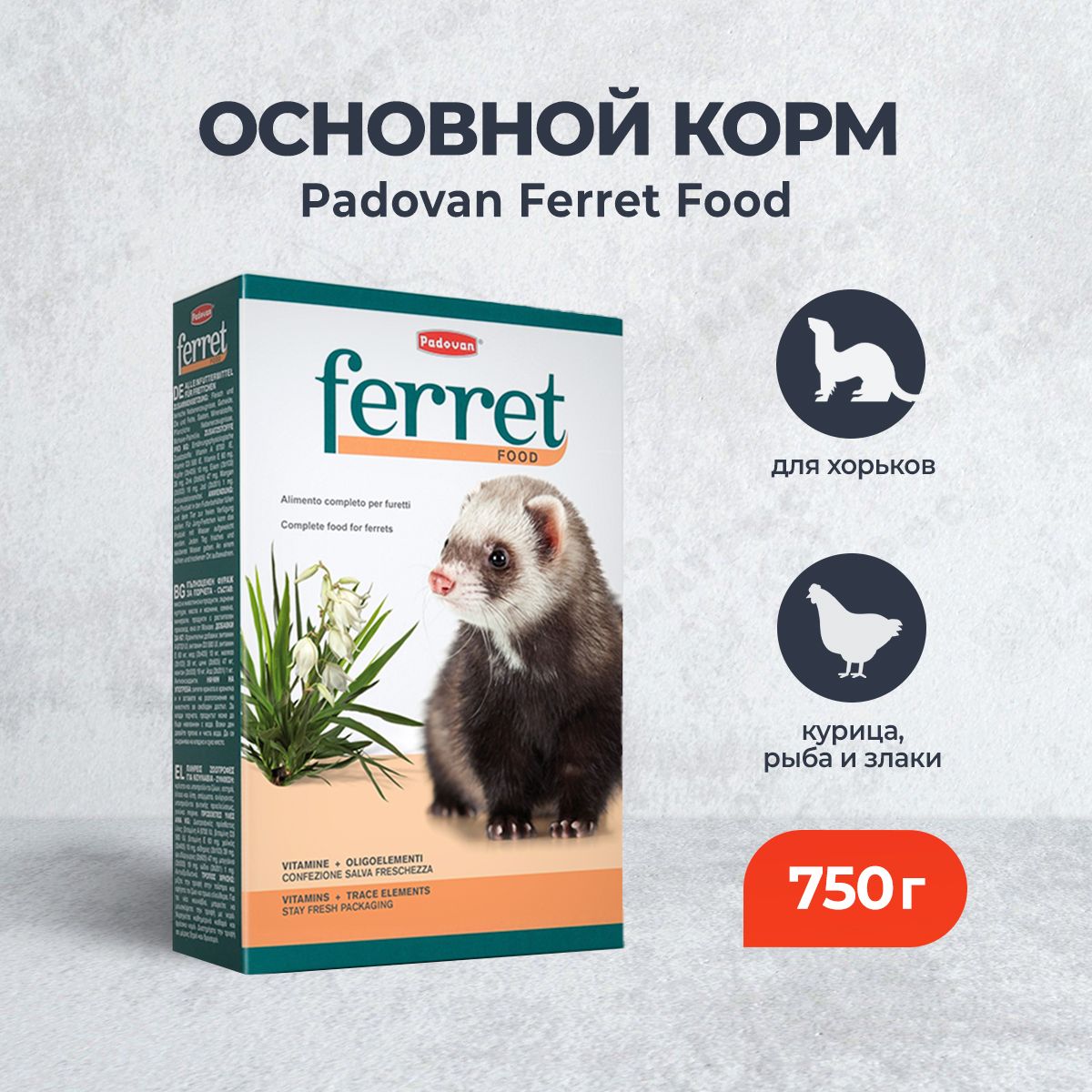 Padovan Ferret Food комплексный основной сухой корм для хорьков - 750 г -  купить с доставкой по выгодным ценам в интернет-магазине OZON (674897010)