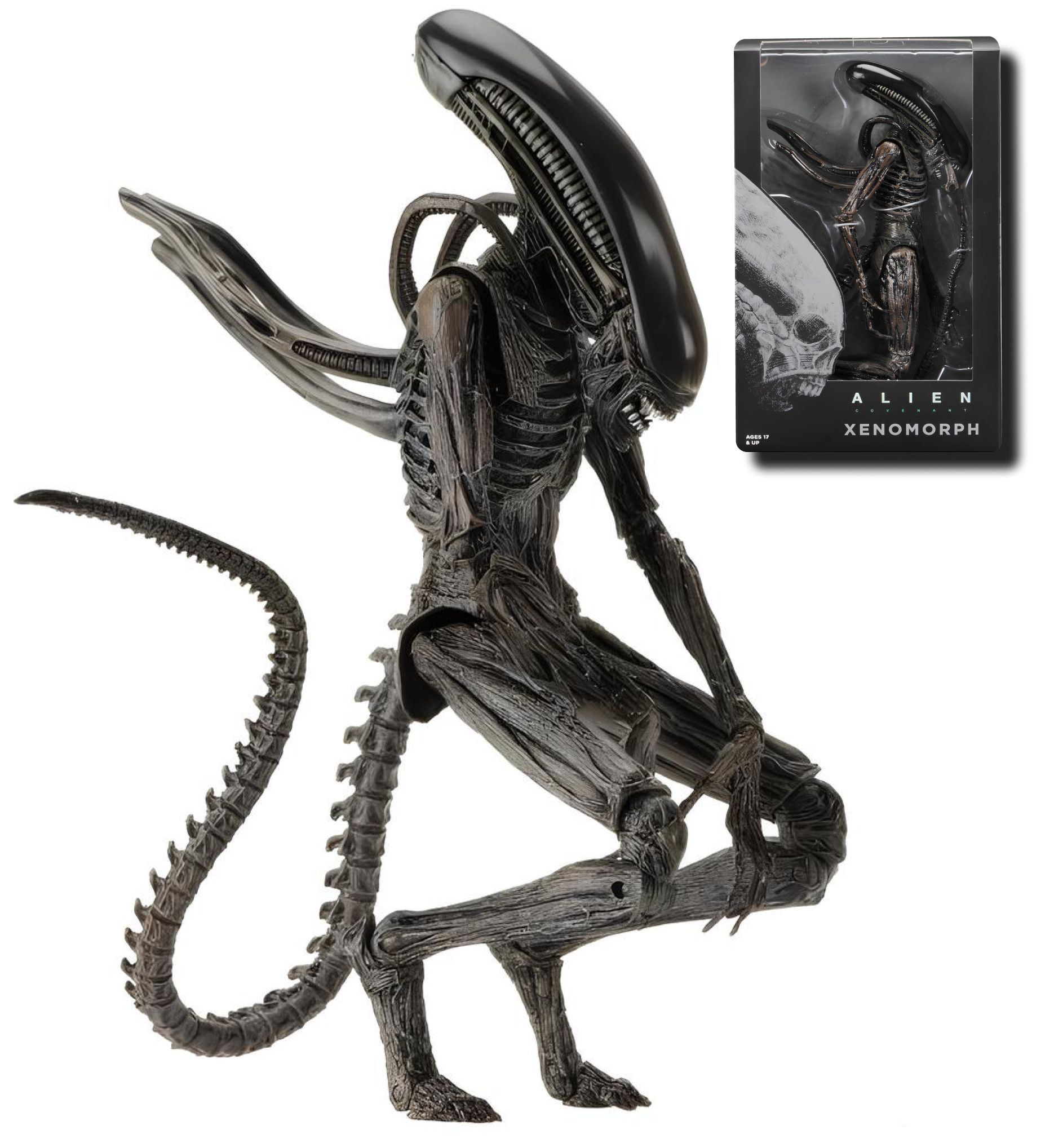 Фигурка Чужой Завет Ксеноморф / Alien Xenomorph (18см) - купить с доставкой  по выгодным ценам в интернет-магазине OZON (1266715892)