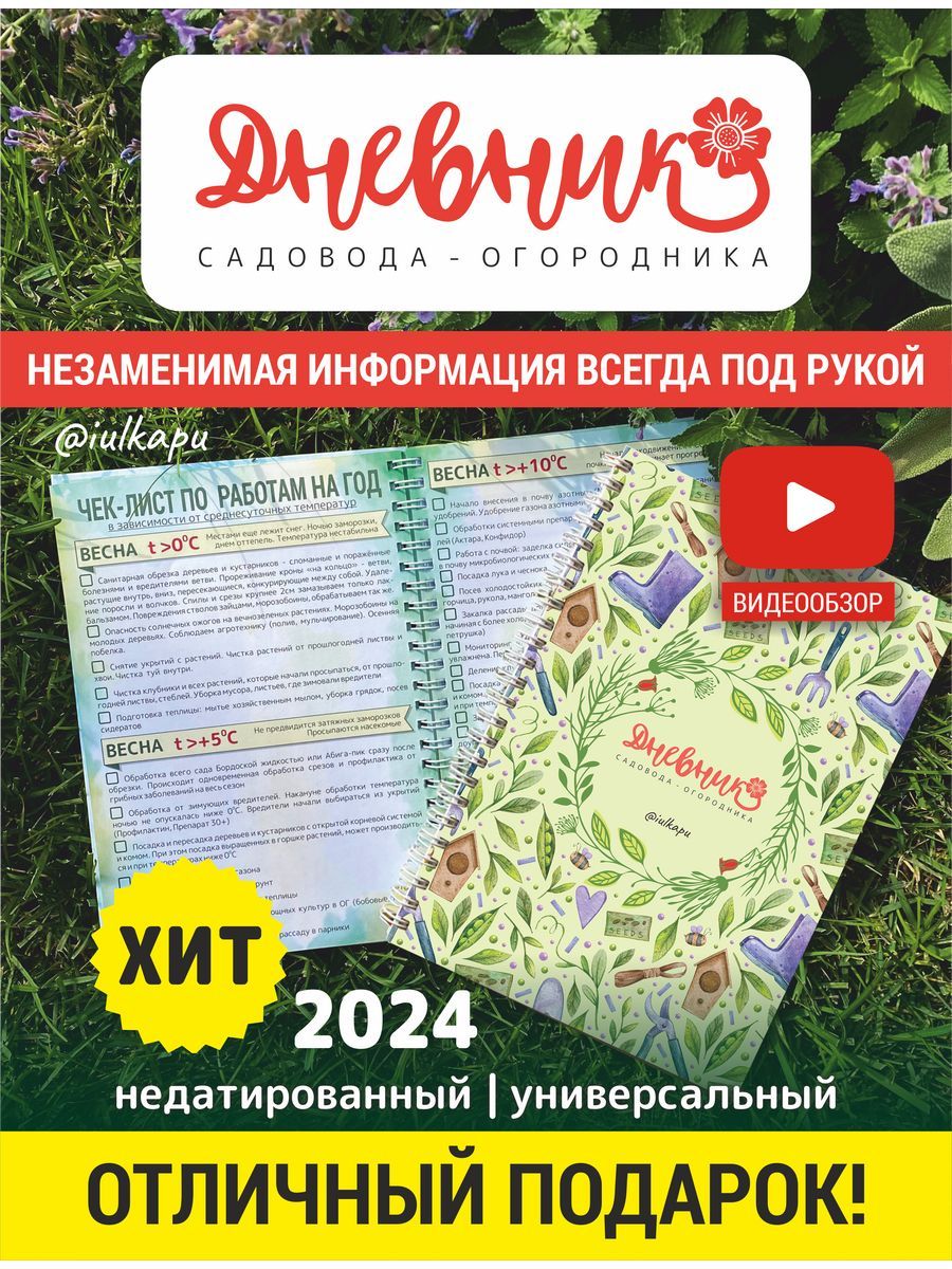 iulkapu Планнер Недатированный A5 (14.8 × 21 см), листов: 80 - купить с  доставкой по выгодным ценам в интернет-магазине OZON (795100601)