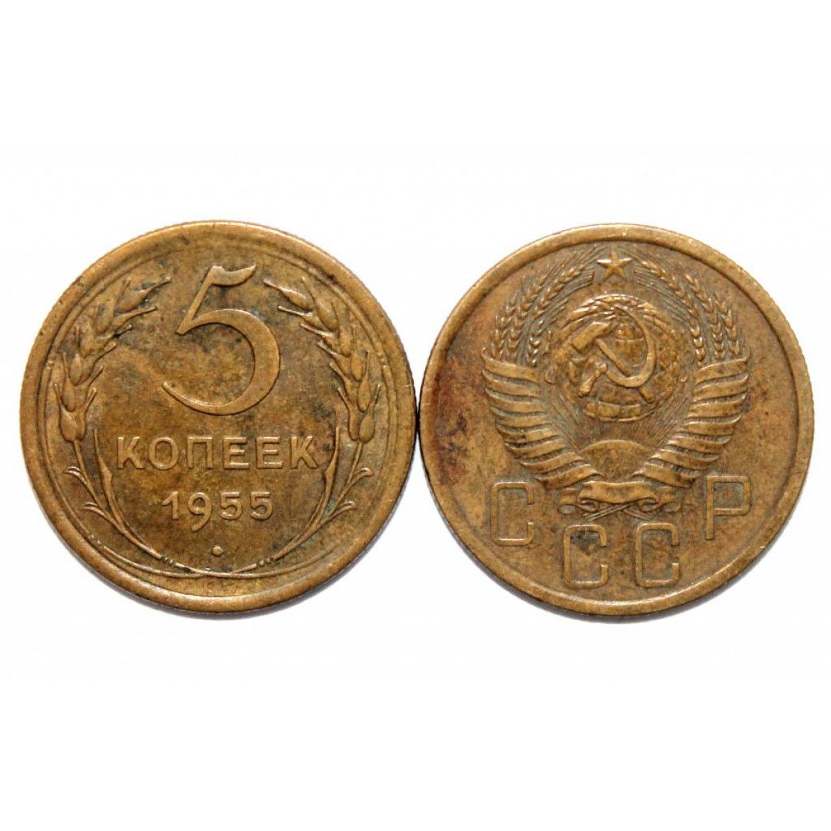 5 Копеек 1955 Года Цена