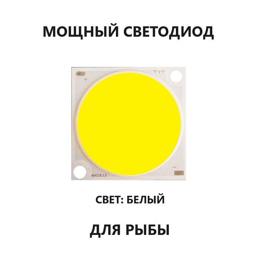 СветодиодCOB19*19mm5000KRa80Bridgelux22*40mil170Lm/WДЛЯРЫБЫ