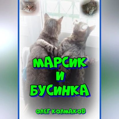 Марсик и Бусинка | Колмаков Олег | Электронная аудиокнига