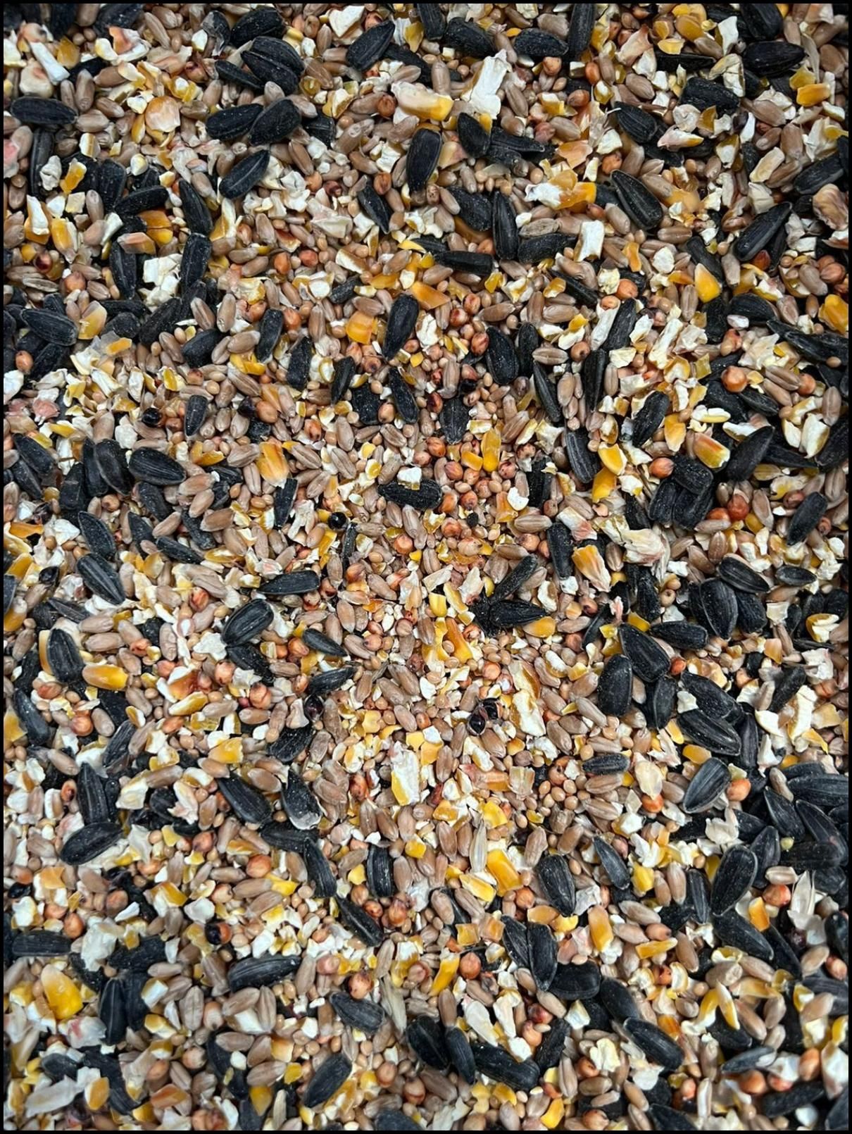 Зерновая смесь для птиц. Зерносмесь лакомка. Зерносмесь для кур. Зерно для кур. Зерновая смесь для птиц.