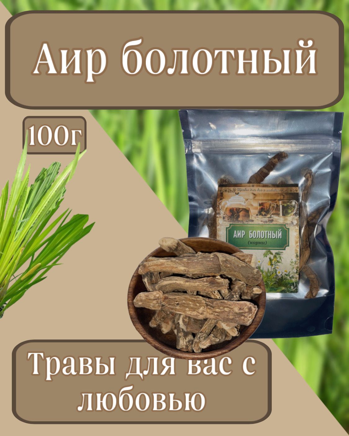 Корней Аира Где Купить