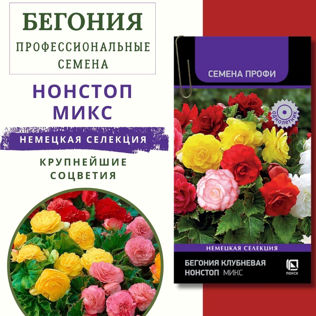 Бегония клубневая "Нонстоп Микс" 10 ШТ. семян, семена цветов на рассаду, семена цветов для посадки