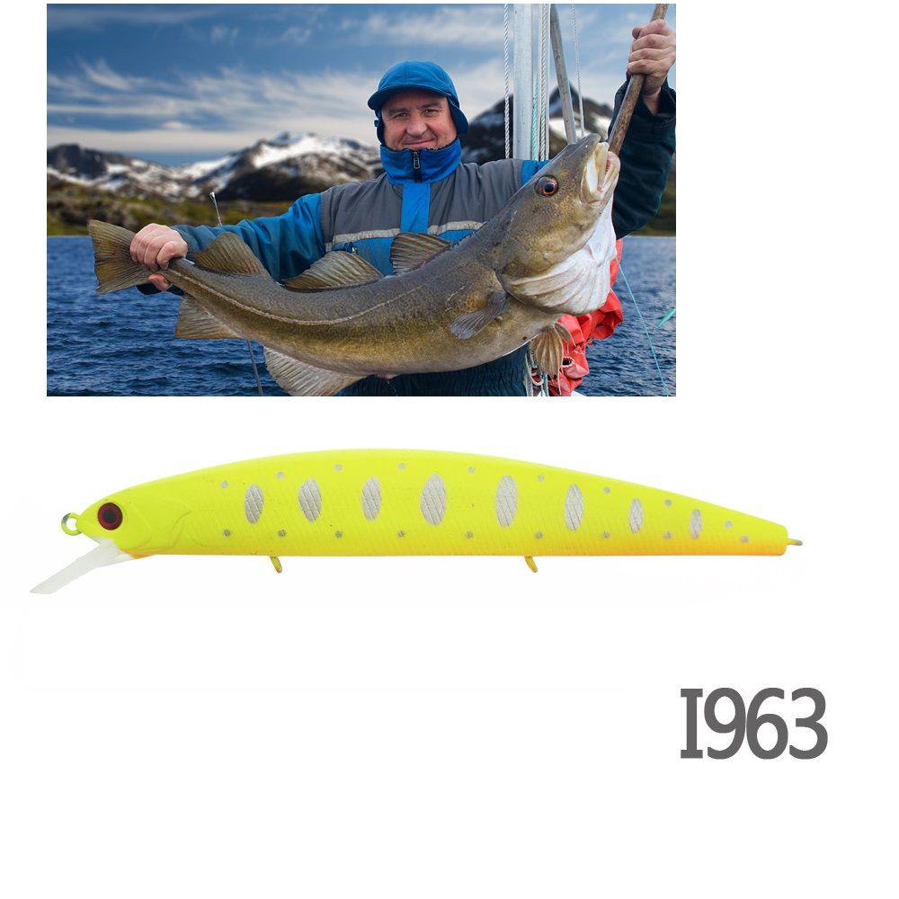 Топ 10 Камер для Рыбалки купить на OZON по низкой цене