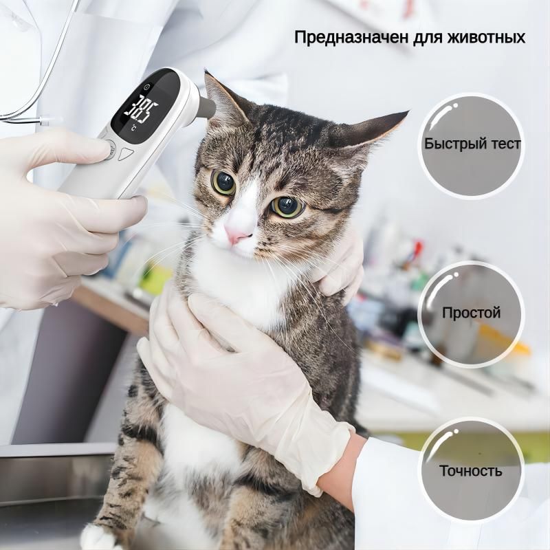 Ветеринарный Термометр – купить в интернет-магазине OZON по низкой цене