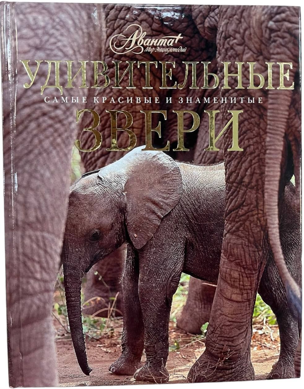 Книга я познаю мир животные. Книга я познаю мир животные. Книги про удивительных животных. Энциклопедия мир животных. Моя жизнь в мире зверей 232.