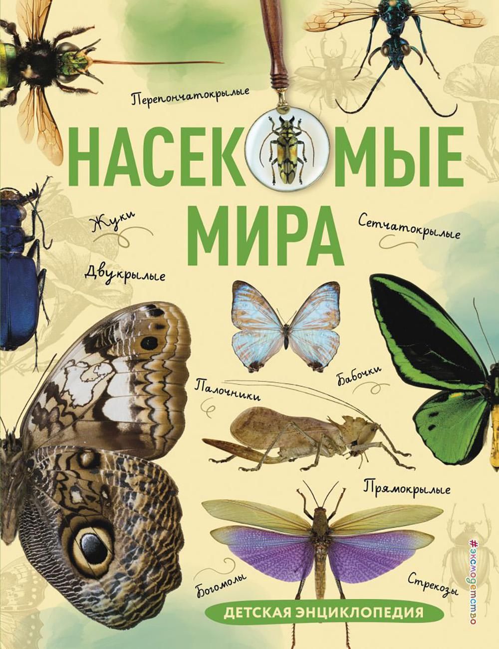 Насекомые мира. Детская энциклопедия | Сочивко Андрей Владимирович