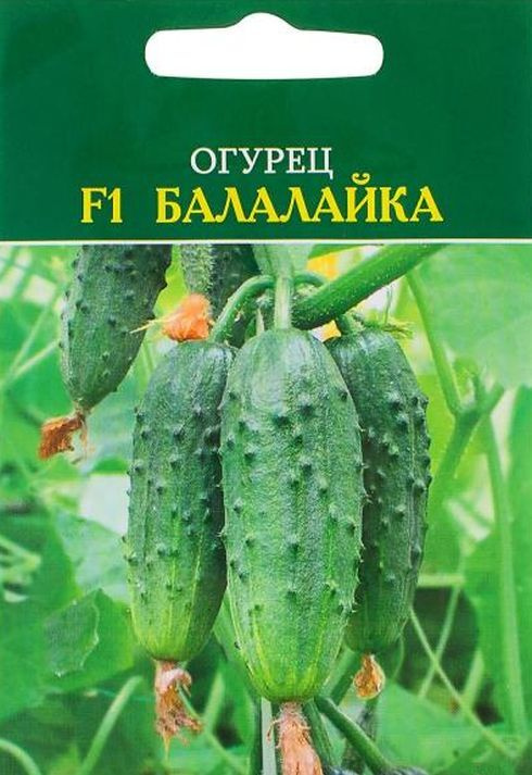 Балалайка огурцы фото