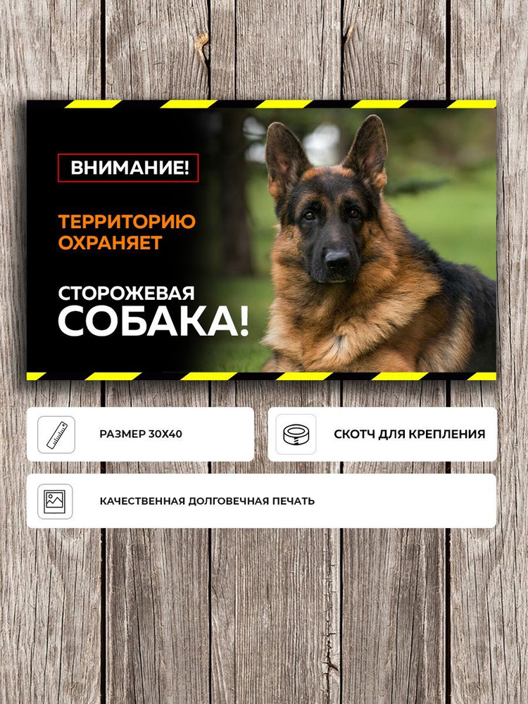 Красивая табличка "Осторожно злая собака" с Немецкой овчаркой черная А3 (40х30см)  #1