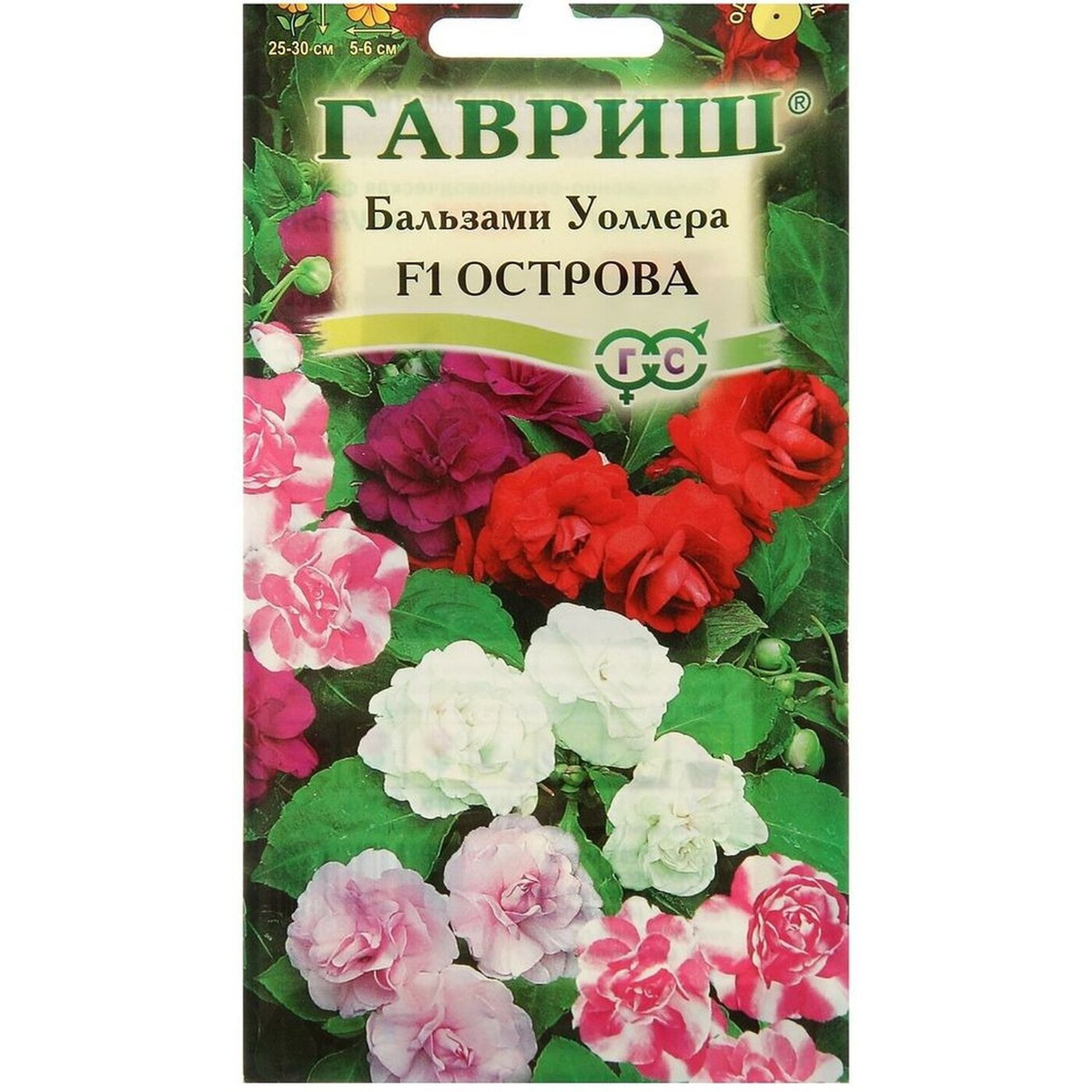 Купить Семена Бальзамина Махрового В Интернет Магазине