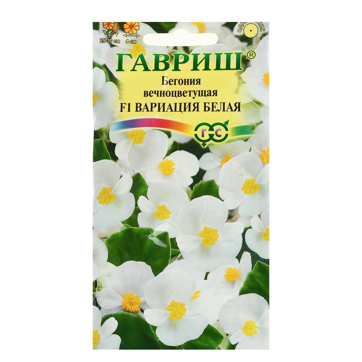 Бегония Семена Интернет Магазин
