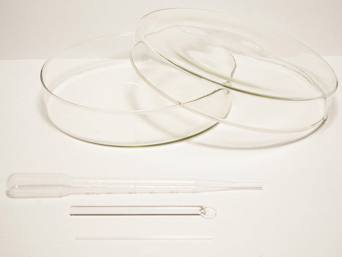 Стеклянная чашка Петри 150х30 мм со стеклянной лопаточкой ...