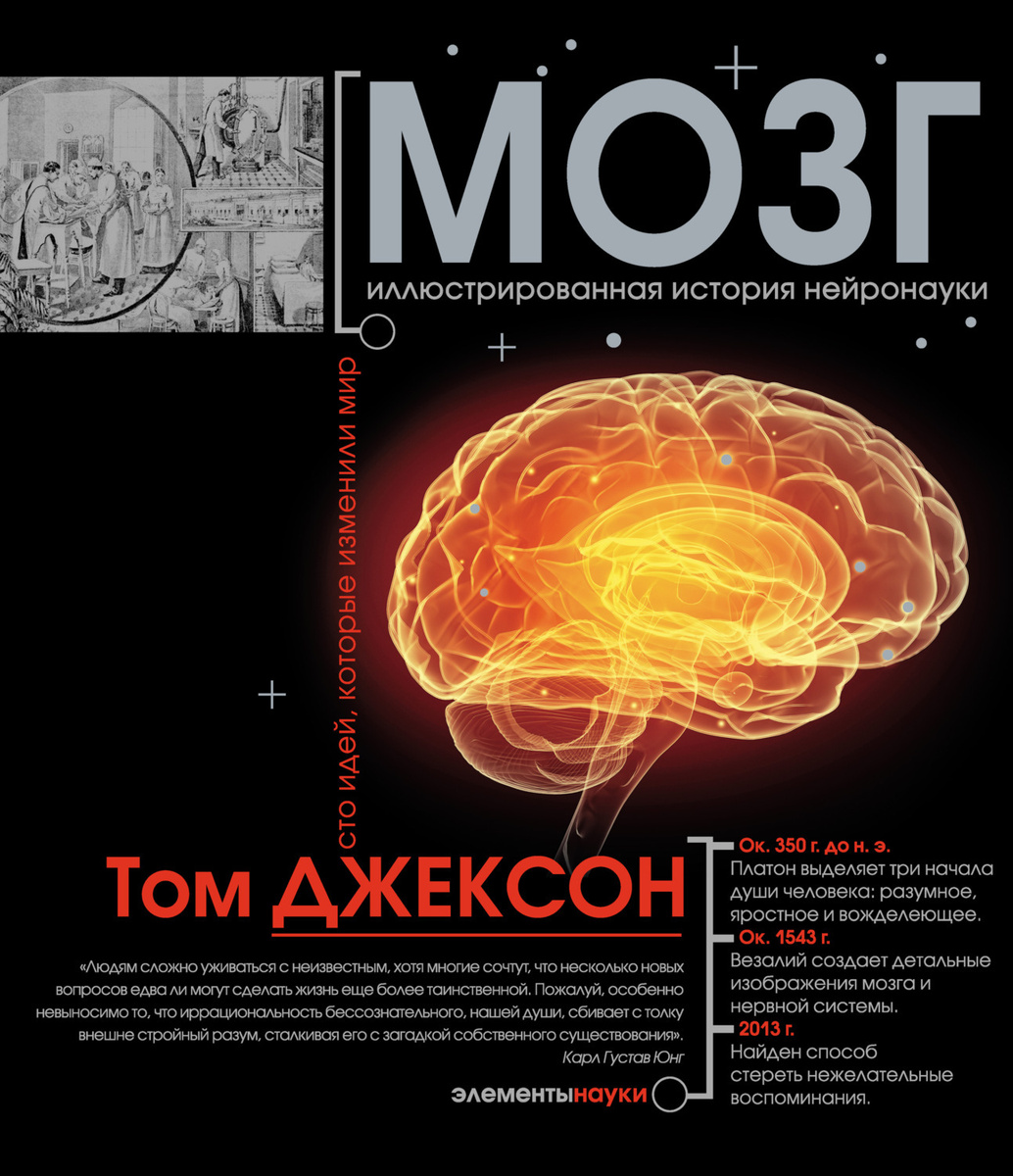 Мозг. Иллюстрированная история нейронауки | Джексон Том  #1