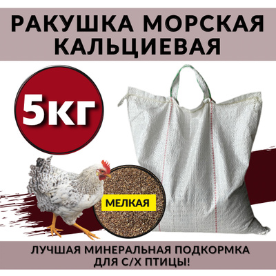 Биолатик (Biolatic) E-500 - кормовой концентрат (пробиотик) для цыплят ...