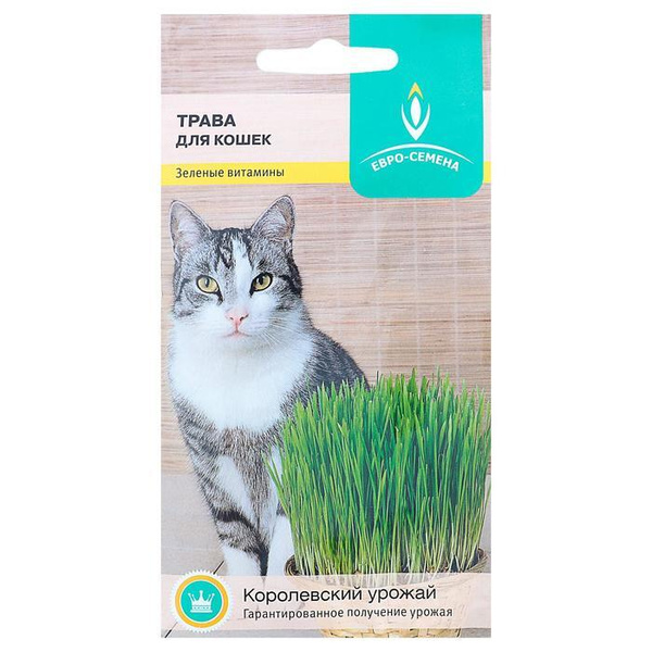 Семена Трава для кошек, 10 г - купить с доставкой по выгодным ценам в ...