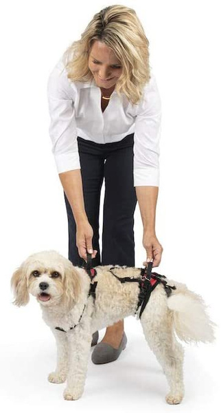Шлейка-ходунки поддержка задних лап пожилых собак PetSafe CareLift Full ...