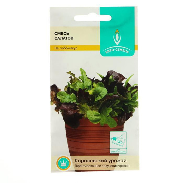 Семена Фриллис Купить В Петрозаводске