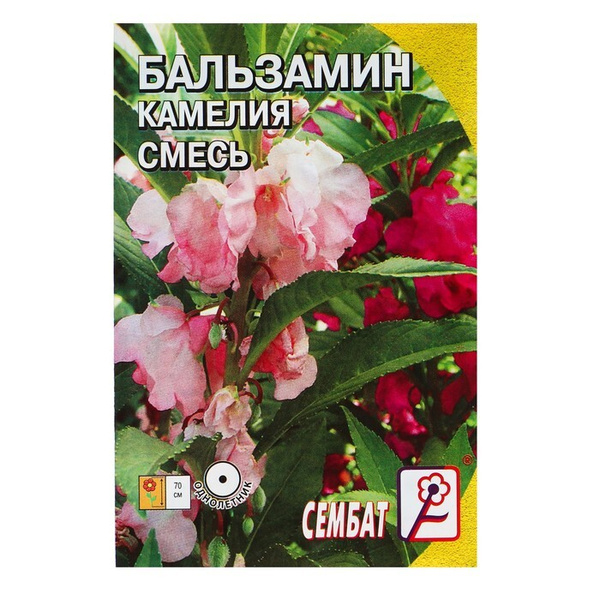 Сембат_розовый - купить по выгодным ценам в интернет-магазине OZON ...
