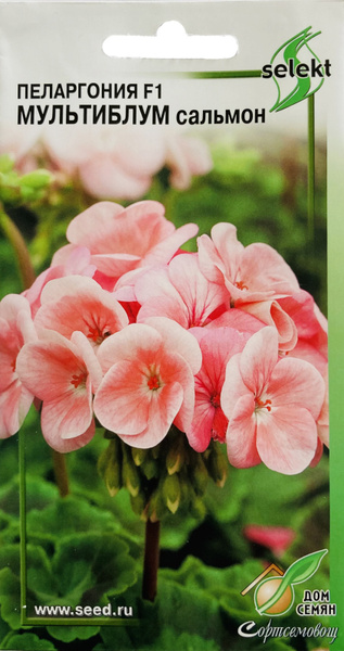Пеларгонии (Герань) Дом семян 46-PELARGONIA_коралловый_Сальмон - купить ...