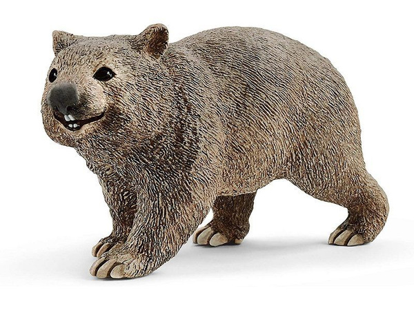 Фигурка Schleich Вомбат SLH14834 - купить с доставкой по выгодным ценам ...