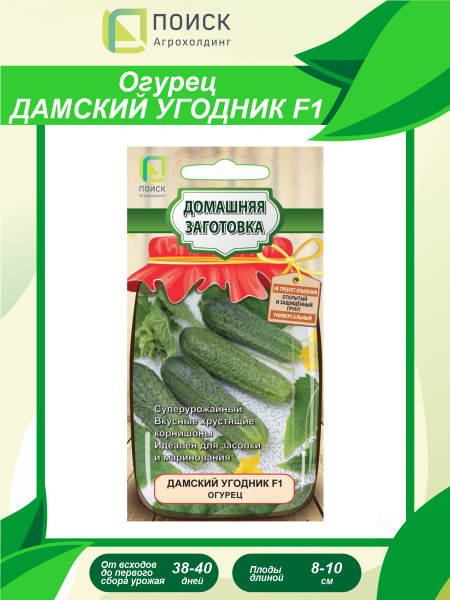 Огурцы дамский угодник фото отзывы