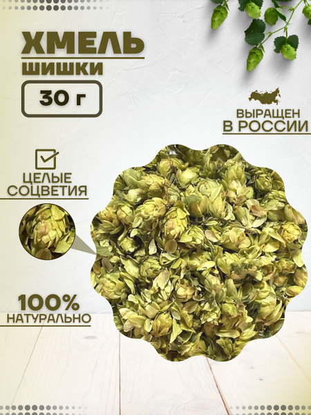 Шишки хмеля , 30 гр. купить на OZON по низкой цене (530002743)