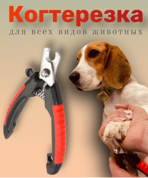 / ножницы для стрижки когтей / когтерез для попугаев+пилочка купить на ...