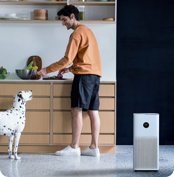 Очиститель воздуха Xiaomi Smart Air Purifier 4 AC-M16-SC, белый ...