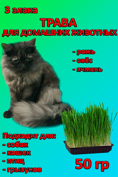 Трава для Кошек, Собак и Грызунов (для выращивания Три Злака: Рожь ...