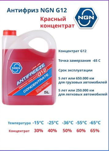 Антифриз NGN концентрат G12, Концентрат купить по выгодной цене в ...