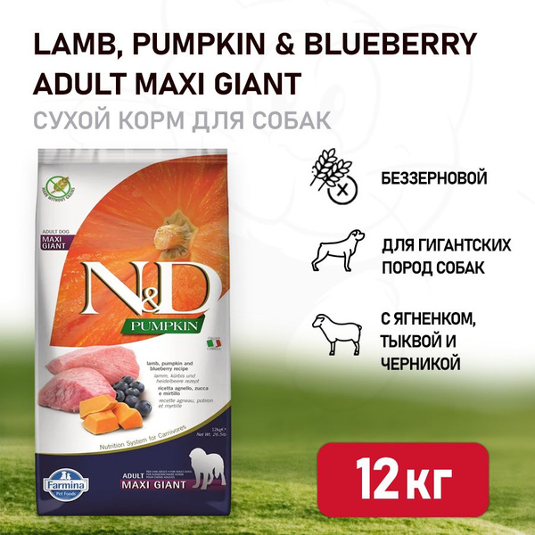 Farmina N&D PUMPKIN GF adult mini lamb and blueberry 2,5 kg | - Chovateľské potreby