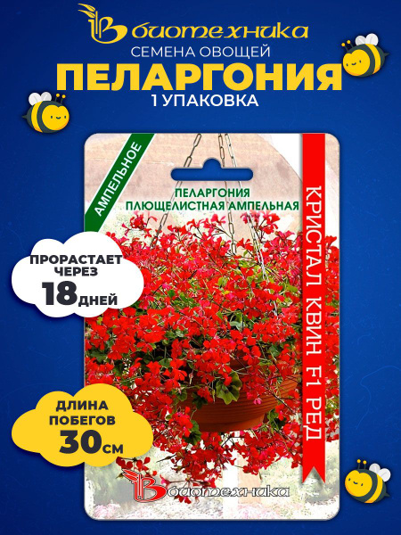 Пеларгонии (Герань) Биотехника Пеларгония Кристал Квин Ред - купить по ...