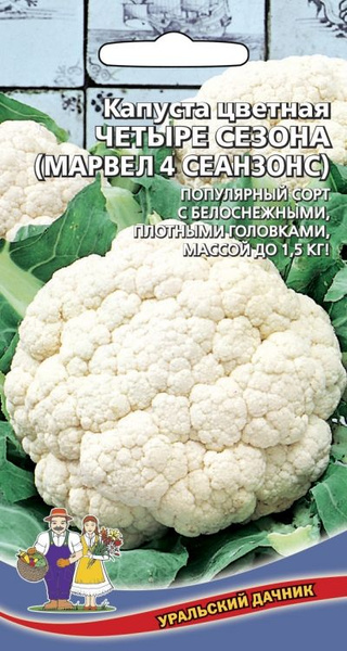 Капуста Уральский дачник Капуста цветная 4 сезона (Марвел 4 сеазонс) УД ...